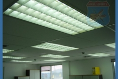 sP1010377_500_375_87