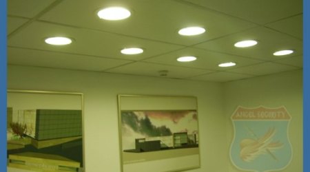 sP1010376_500_375_87